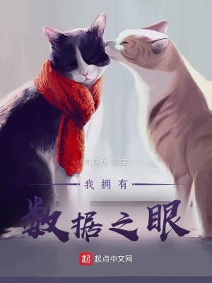 我拥有数据之眼